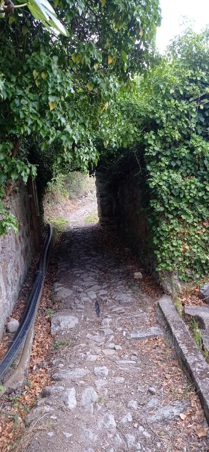 Séjour à la ferme Vecchio Frantoio *